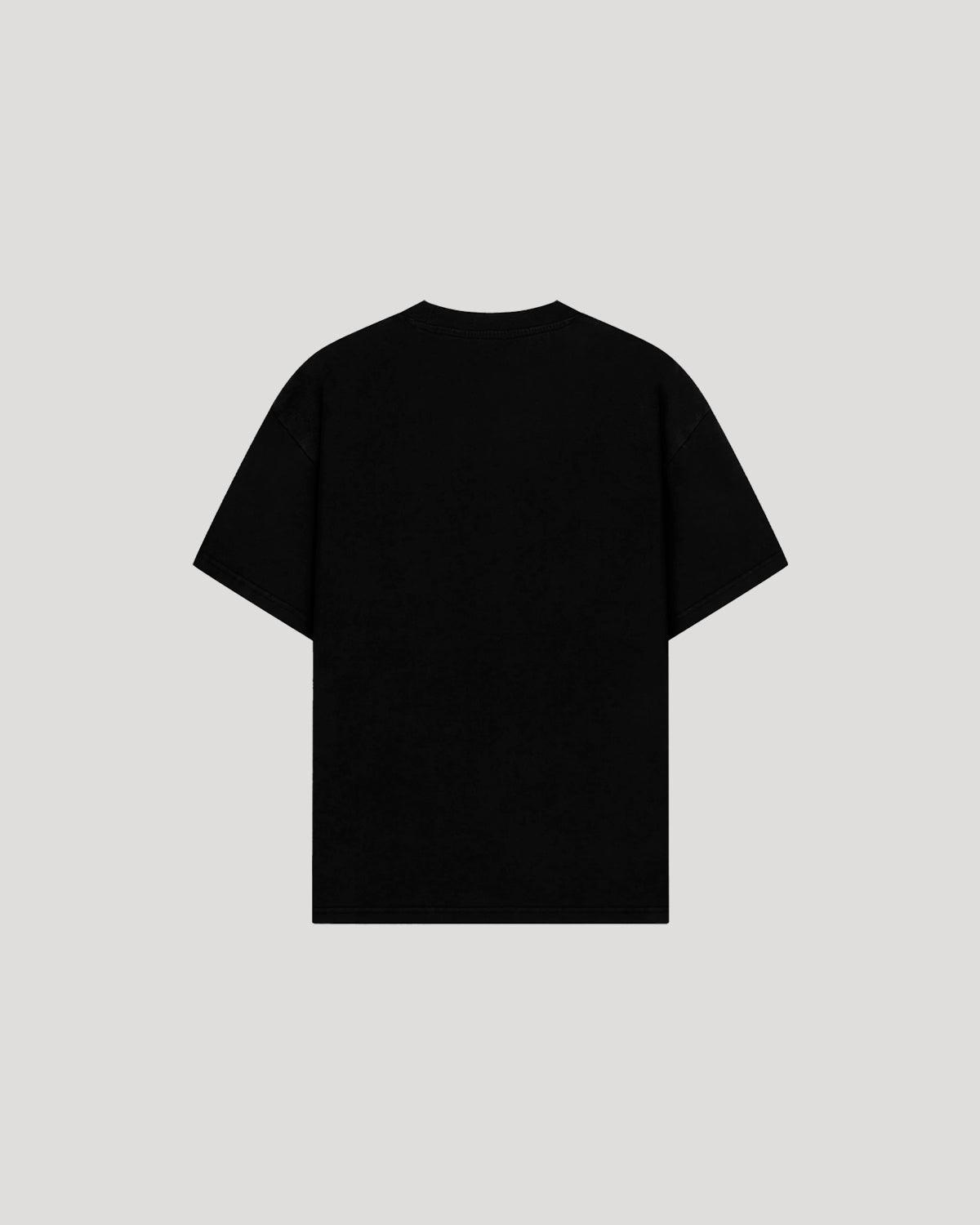 WLV FRANCE T