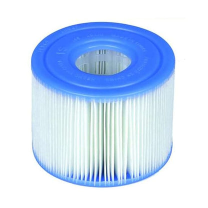 Lot de 12 cartouches de filtration Intex S1